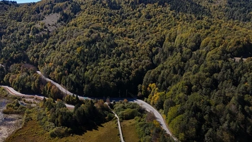 Bolu&rsquo;da ormanlara giriş 30 Eyl&uuml;l&rsquo;e kadar yasaklandı

