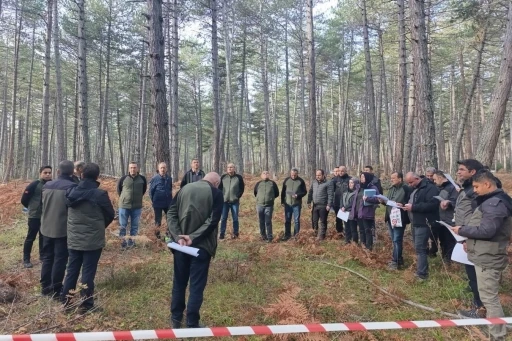 Bolu’da sağlıklı ormanlar için ekipler sahaya indi
