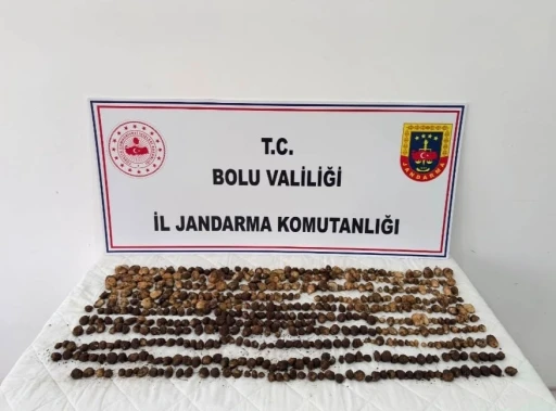 Bolu&rsquo;da yabani salep toplayan 3 kişiye rekor ceza: 2 milyon 97 bin TL
