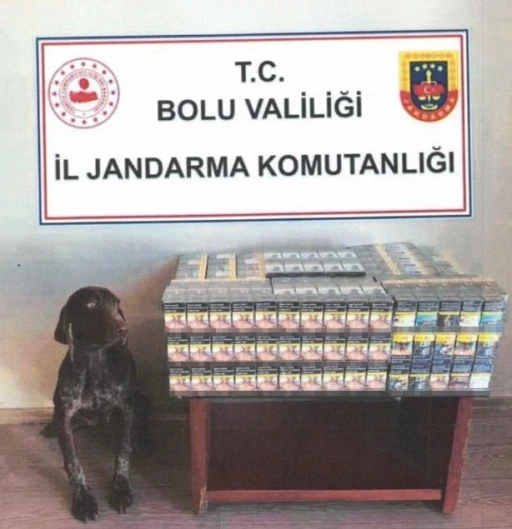 Bolu’da yolcu otobüsünde kaçak sigara ele geçirildi
