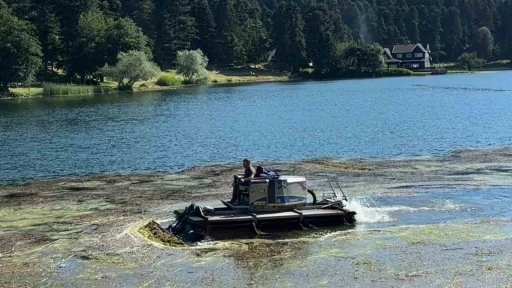 Bolu&rsquo;nun doğa harikası G&ouml;lc&uuml;k Tabiat Parkı&rsquo;nın g&ouml;l y&uuml;zeyi temizleniyor
