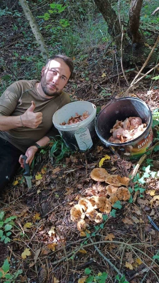 Bolu ormanlarında mantar bereketi: 25 kilo kanlıca topladı
