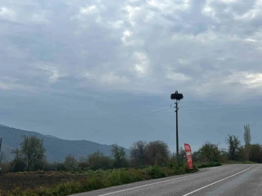 Bozdoğan&rsquo;da baharın m&uuml;jdecisi leylekler yuvalarına d&ouml;nd&uuml;