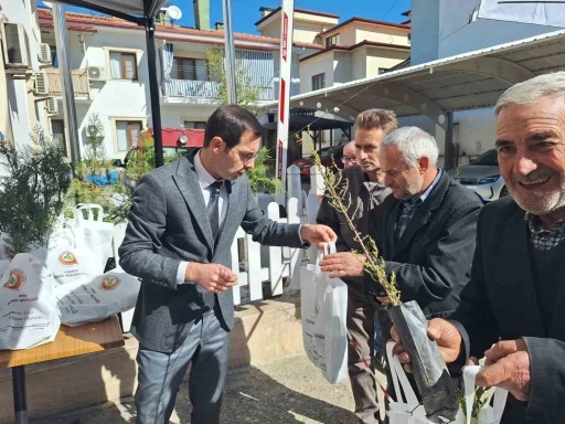 Bozdoğan’da Orman Haftası’nda fidan dağıtımı gerçekleştirildi
