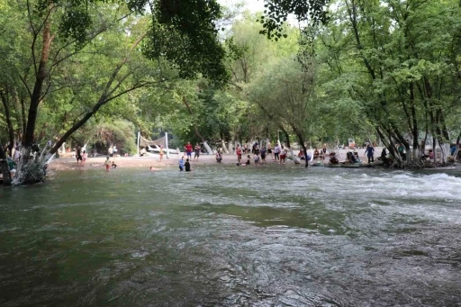 Bozdoğan’daki piknik alanı sıcak yaz günlerinde serinletiyor
