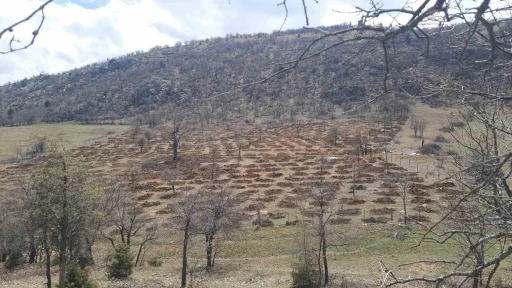 Bozkır&rsquo;da 13 d&ouml;n&uuml;ml&uuml;k alanda dev ağa&ccedil;landırma projesi
