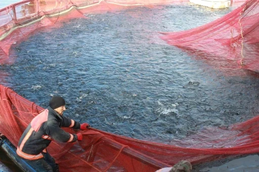 Bozkırın ortasında yetişti, Rusya ve Japonya yolcusu oldu
