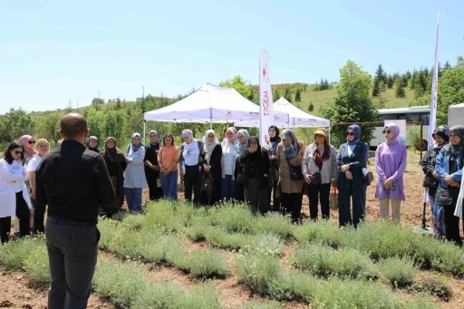 Bozkırların altın &ccedil;i&ccedil;eğinde hasat sevinci
