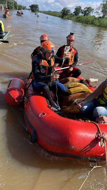 Brezilya’daki sel felaketinde ölü sayısı 113’e yükseldi
