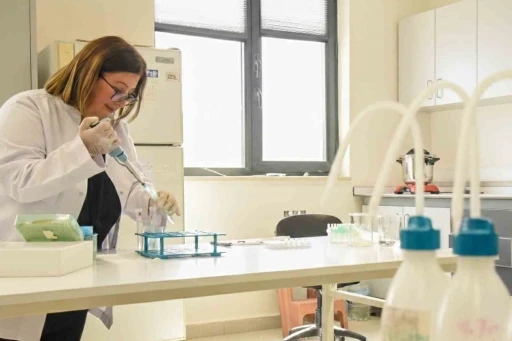 BŞE&Uuml;&rsquo;den d&uuml;nyanın en saygın dergilerinden Food Chemıstry&rsquo;de bir yayın daha
