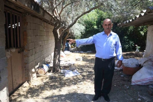 ‘Bu benim en uysal hayvanım’ dediği boğa, karayolunda trafiği durdurarak korku dolu anlar yaşattı
