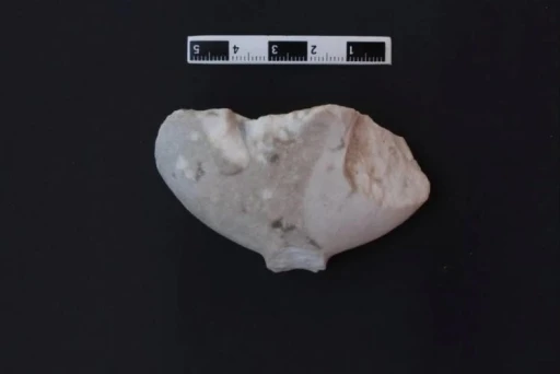 Bu ‘Kilya’ tipi figür tüm tarihi değiştirecek

