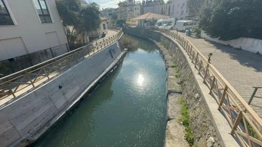 BU K&Ouml;P&Uuml;K NEREDEN GELİYOR?