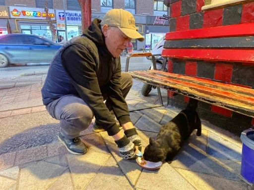 Bu taksi durağı esnafın hayvan sevgisi ile &ouml;ne &ccedil;ıkıyor
