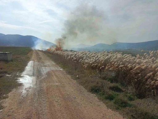 Bucak’ta sazlık alanda yangın
