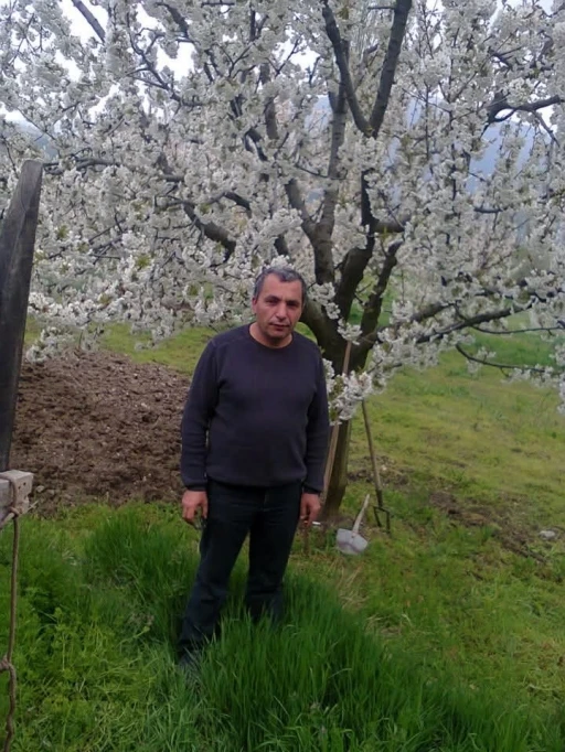 Budadığı ağaçtan düşen adam hayatını kaybetti
