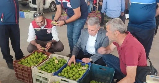 Buharkent&rsquo;te ilekler, tezgahta incelendi
