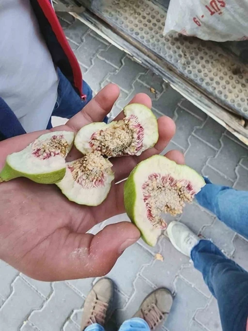 Buharkent&rsquo;te &uuml;reticiler &rsquo;belgesiz ilek&rsquo; kullanımına karşı uyarıldı
