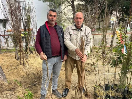 Buldan&rsquo;ın bereketli toprakları fidanlarla canlanıyor
