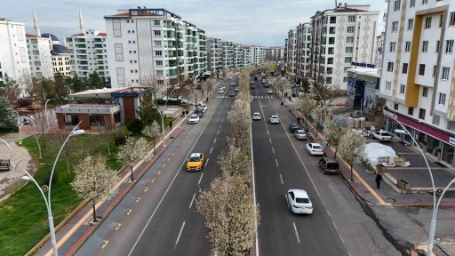 Bulvarlar s&uuml;s armutlarıyla g&ouml;rsel ş&ouml;lene d&ouml;n&uuml;şt&uuml;
