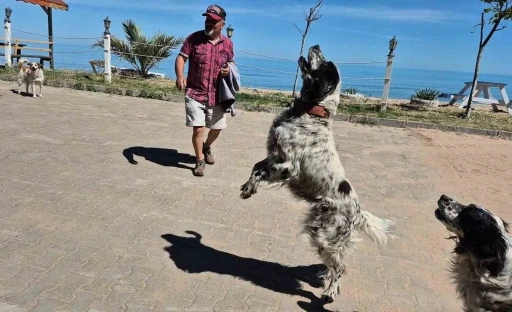Bunlar da dronsavar k&ouml;pekler
