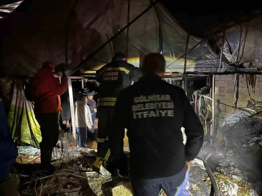 Burdur&rsquo;da ahır yangını korkuttu
