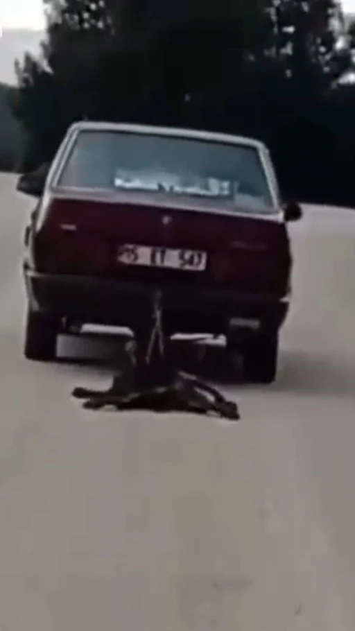 Burdur’da köpeği aracının arkasında sürükleyen şahıs tutuklandı
