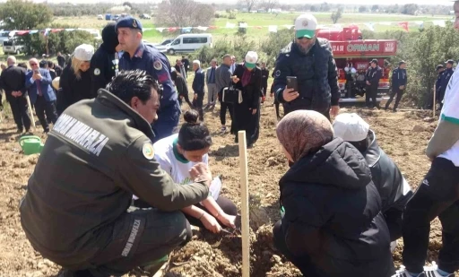 Burdur&rsquo;da zeytin ve fıstık&ccedil;amı fidanları toprakla buluştu
