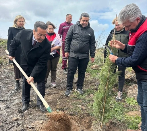 Burhaniye&rsquo;de 315 fıstık&ccedil;amı fidanı toprakla buluşturuldu
