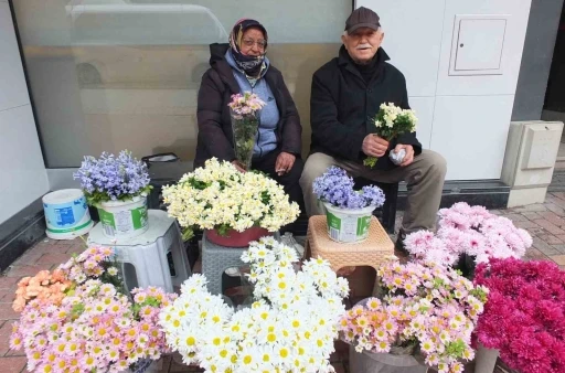 Burhaniye&rsquo; de &ccedil;i&ccedil;ek&ccedil;iler 14 Şubat&rsquo;ı bekliyor
