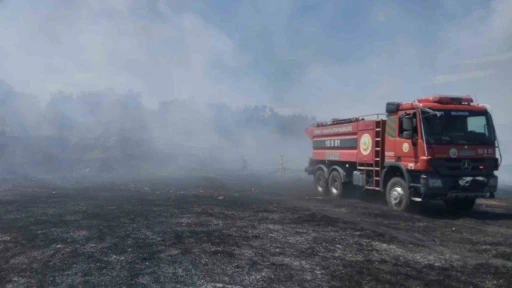 Burhaniye&rsquo;de &ouml;rt&uuml; yangını zeytinliklere sı&ccedil;ramadan kontrol altına alındı
