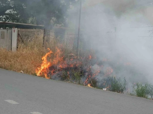 Burhaniye’de ot yangını korkuttu
