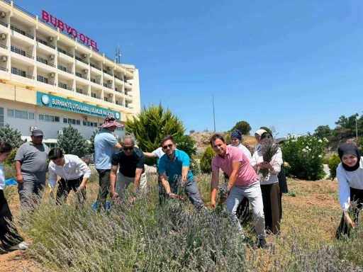 Burhaniye&rsquo;de "Lavanta Kokulu Okul" da hasat heyecanı
