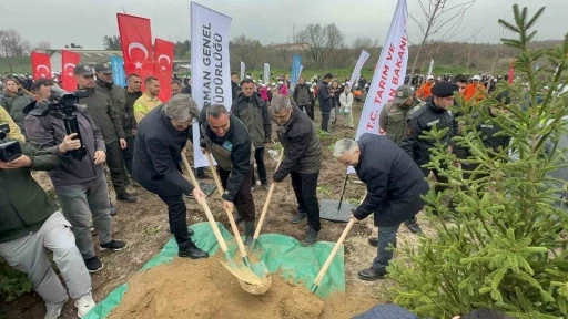 Bursa&rsquo;da 2 yıl &ouml;nce yanan 80 hektarlık alan ağa&ccedil;landırıldı
