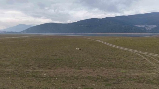 Bursa&rsquo;da bir g&ouml;l daha yok oluyor...
