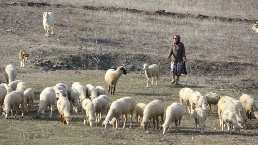 Bursa&rsquo;da boğazından bı&ccedil;aklanarak &ouml;ld&uuml;r&uuml;len kadının eski g&ouml;r&uuml;nt&uuml;leri ortaya &ccedil;ıktı
