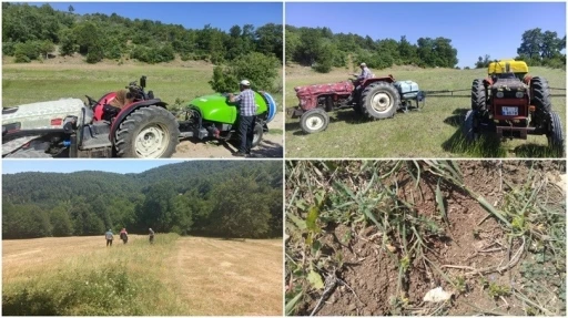 Bursa’da çekirge ile mücadele başladı
