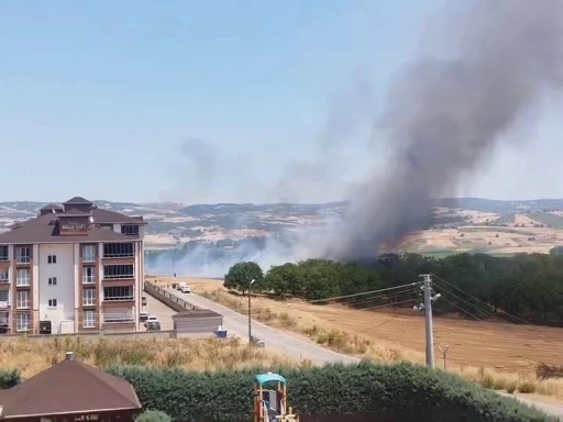 Bursa’da korkutan anız yangını
