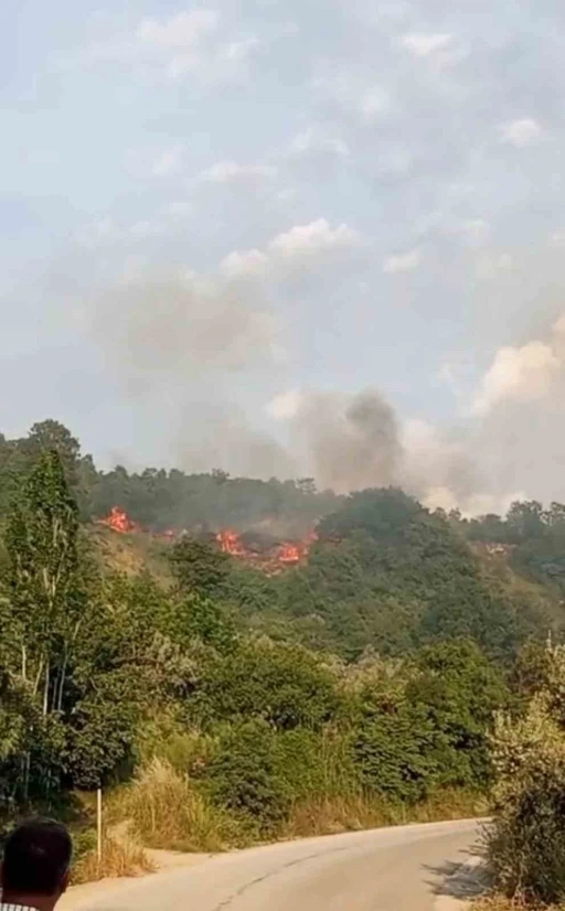 Bursa&rsquo;da makilik alanda yangın
