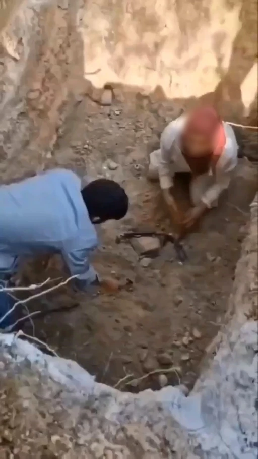Bursa’da ölen köpekleri mezardan çıkarmaya çalıştılar
