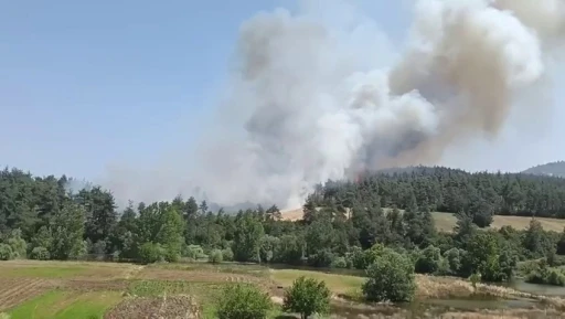 Bursa’da orman yangını: Taş ocakları mevkiindeki yangına karadan ve havadan müdahale
