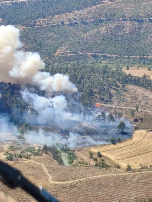 Bursa&rsquo;da otluk alanda &ccedil;ıkan yangın ormana sı&ccedil;radı
