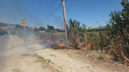 Bursa’da otluk alanda korkutan yangın
