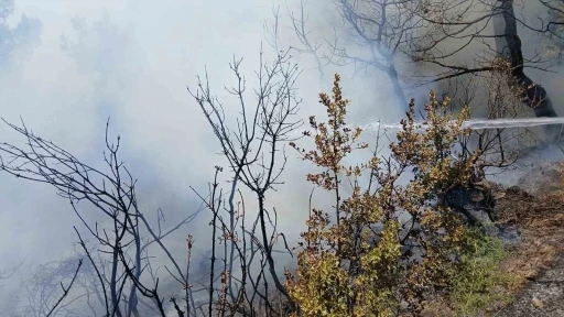 Bursa&rsquo;da piknik alanı yakınındaki yangın korkuttu
