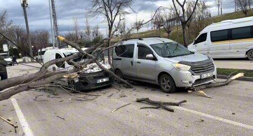 Bursa&rsquo;da seyir halindeki ara&ccedil;ların &uuml;zerine ağa&ccedil; devrildi
