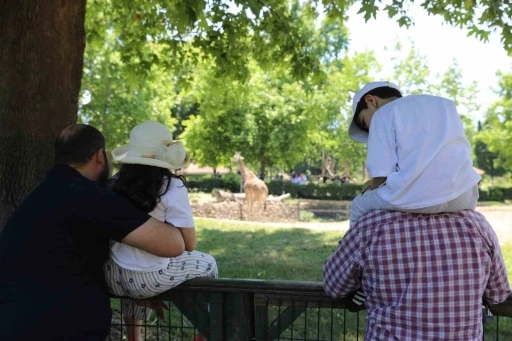Bursa Hayvanat Bah&ccedil;esi bayramda ziyaret&ccedil;i akınına uğradı
