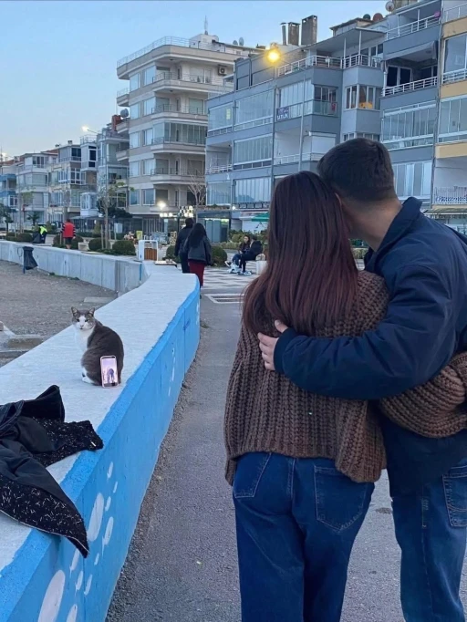 Bursa sahilinde ilgin&ccedil; fotoğraf &ccedil;&ouml;z&uuml;m&uuml;: Tripod yerine kedi kullandılar
