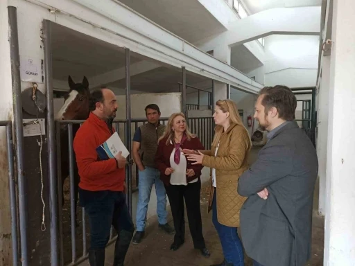 BUÜ’de At Destekli Liderlik ve Koçluk Semineri verildi
