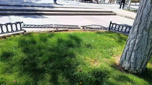 B&uuml;y&uuml;kkılı&ccedil;&rsquo;tan kamu malına duyarlılık &ccedil;ağrısı
