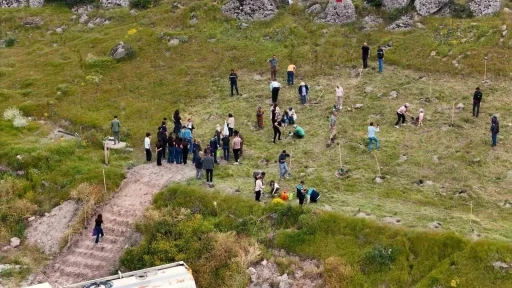 B&uuml;y&uuml;kşehir, 300 fidanı toprakla buluşturdu
